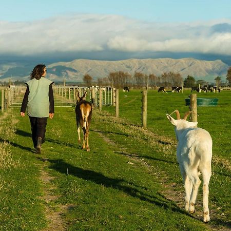 Penhaven Farm Stay Palmerston North Eksteriør bilde