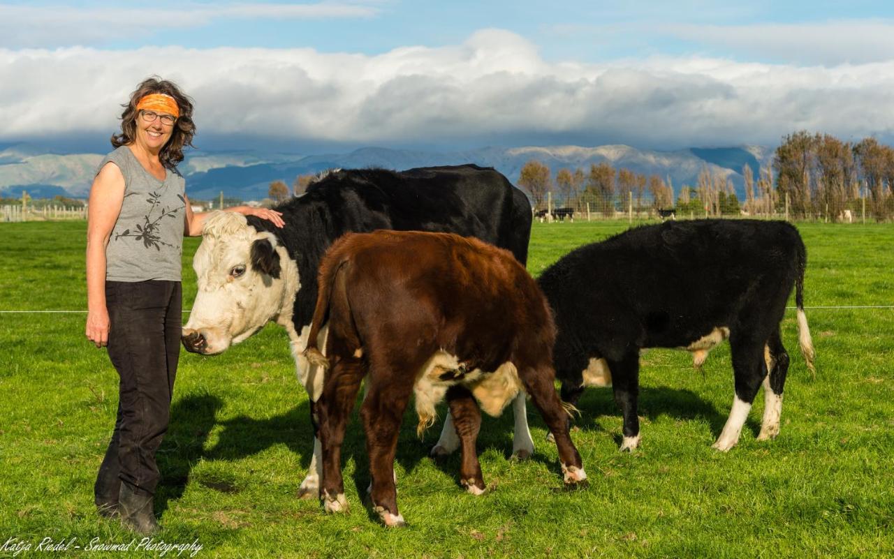 Penhaven Farm Stay Palmerston North Eksteriør bilde