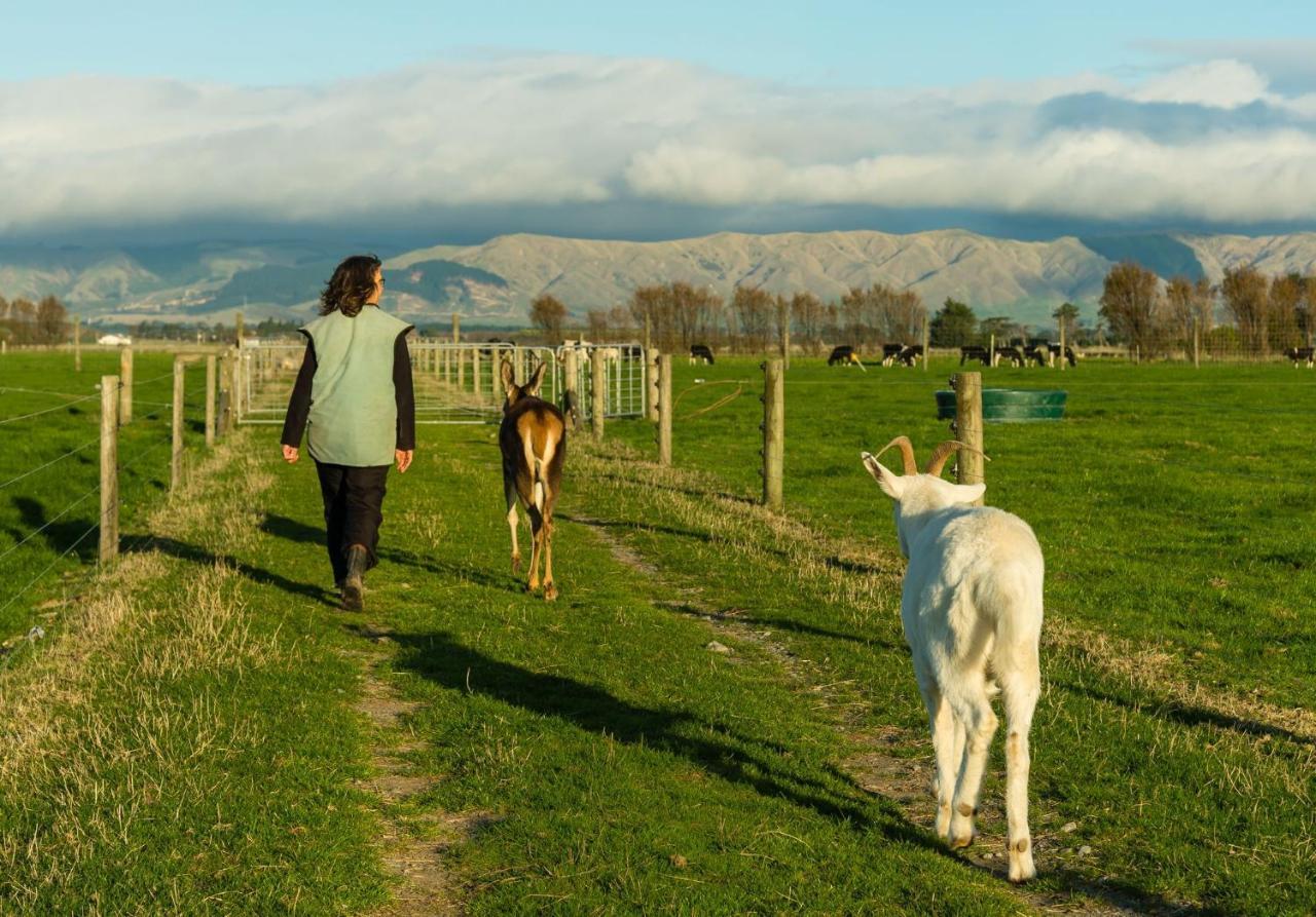 Penhaven Farm Stay Palmerston North Eksteriør bilde