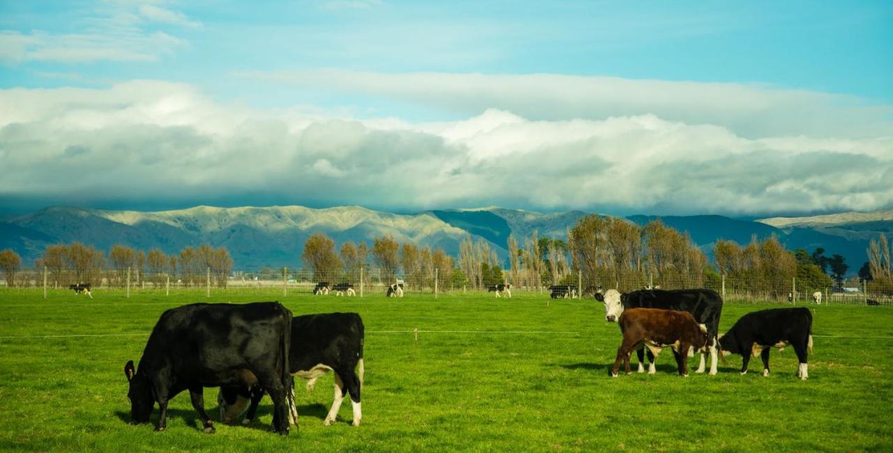 Penhaven Farm Stay Palmerston North Eksteriør bilde