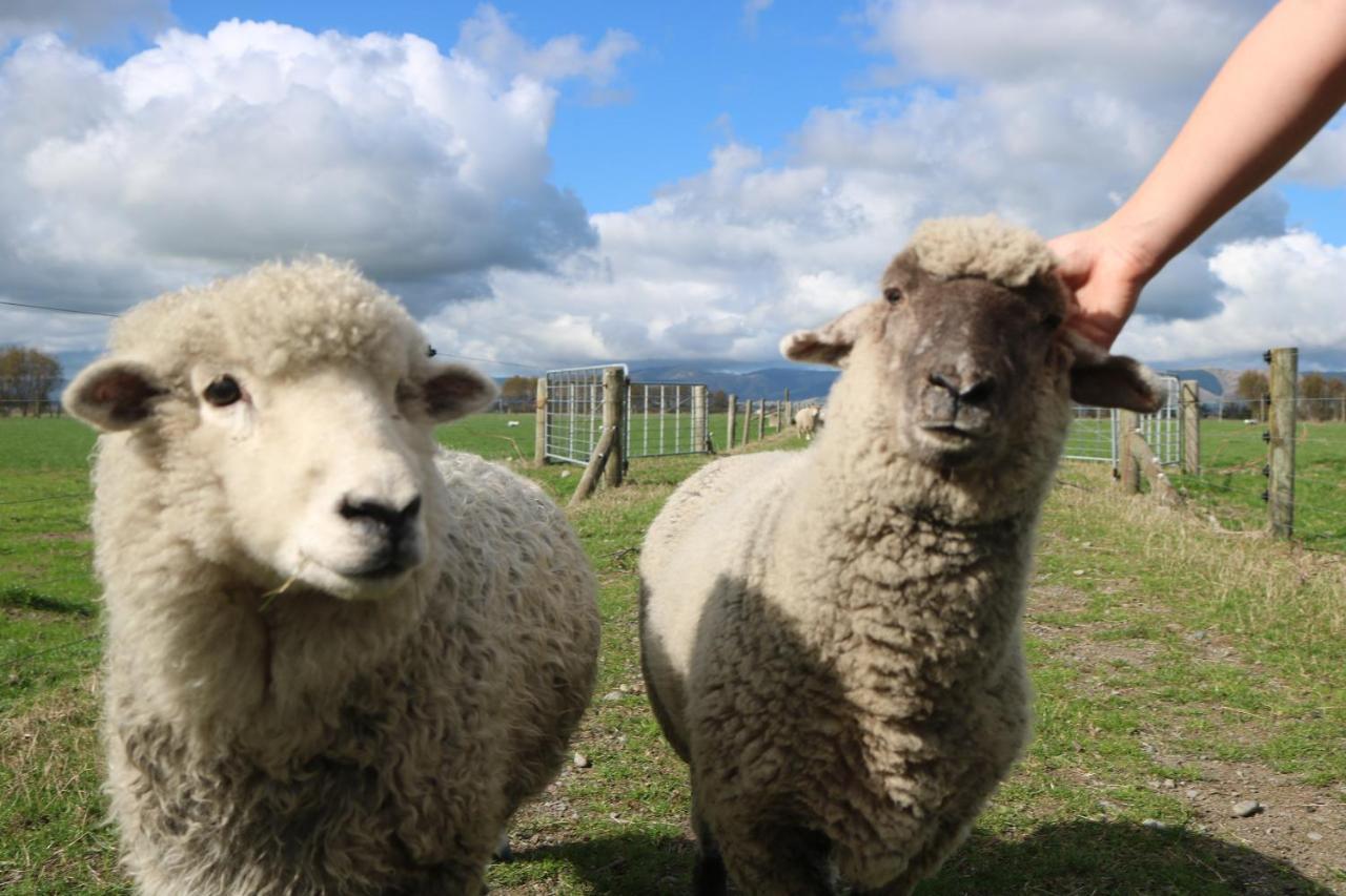 Penhaven Farm Stay Palmerston North Eksteriør bilde