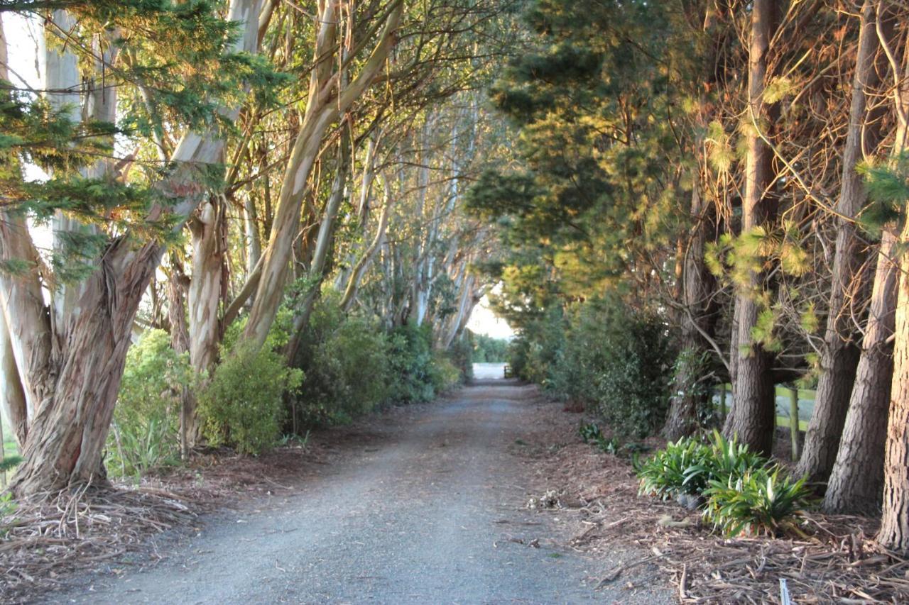 Penhaven Farm Stay Palmerston North Eksteriør bilde