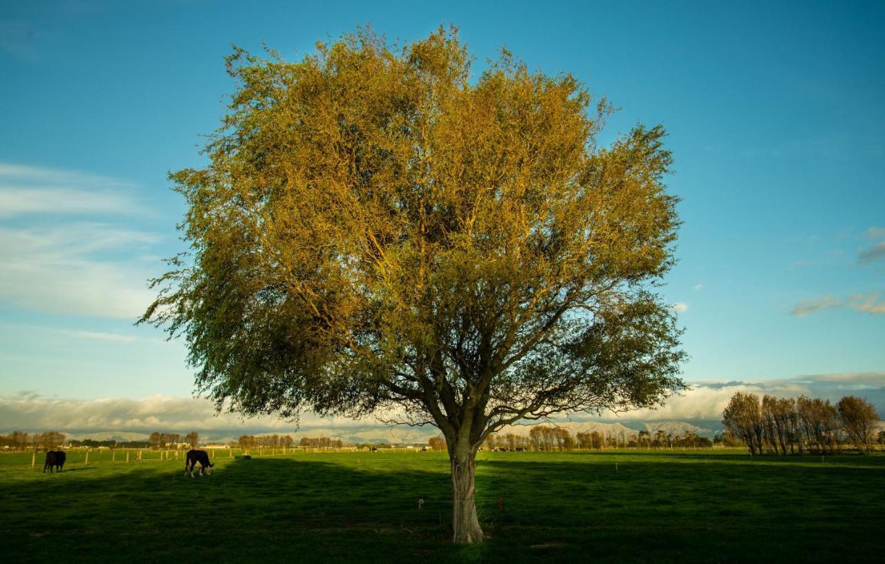 Penhaven Farm Stay Palmerston North Eksteriør bilde