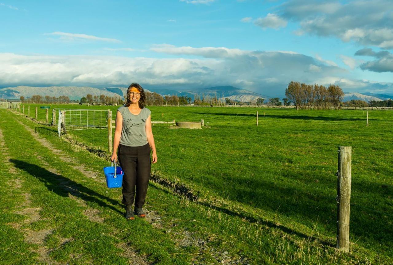 Penhaven Farm Stay Palmerston North Eksteriør bilde