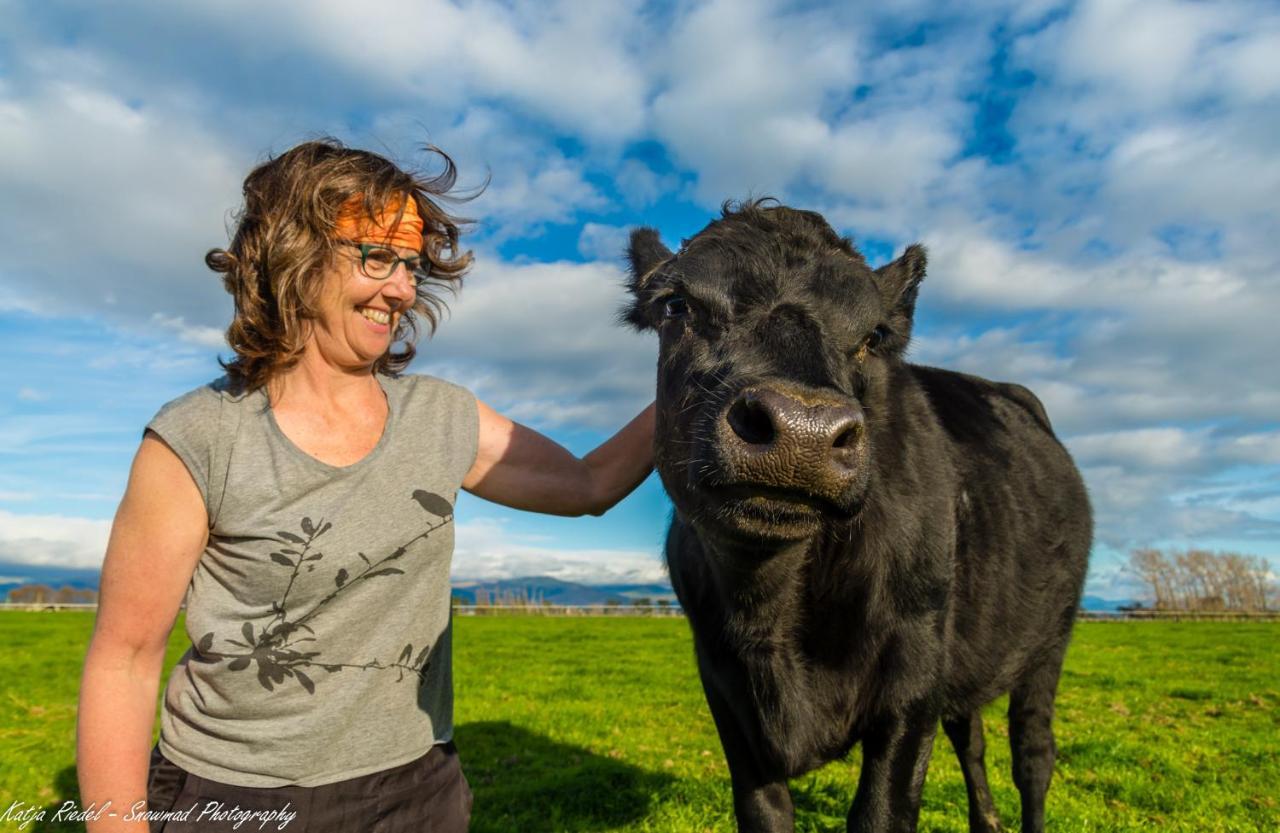 Penhaven Farm Stay Palmerston North Eksteriør bilde