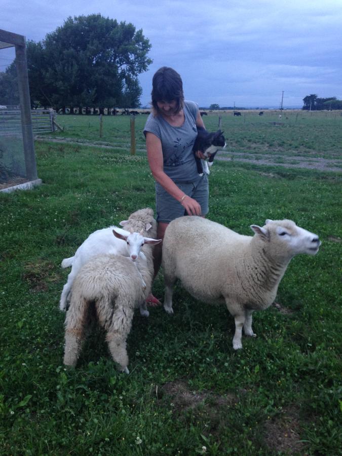 Penhaven Farm Stay Palmerston North Eksteriør bilde