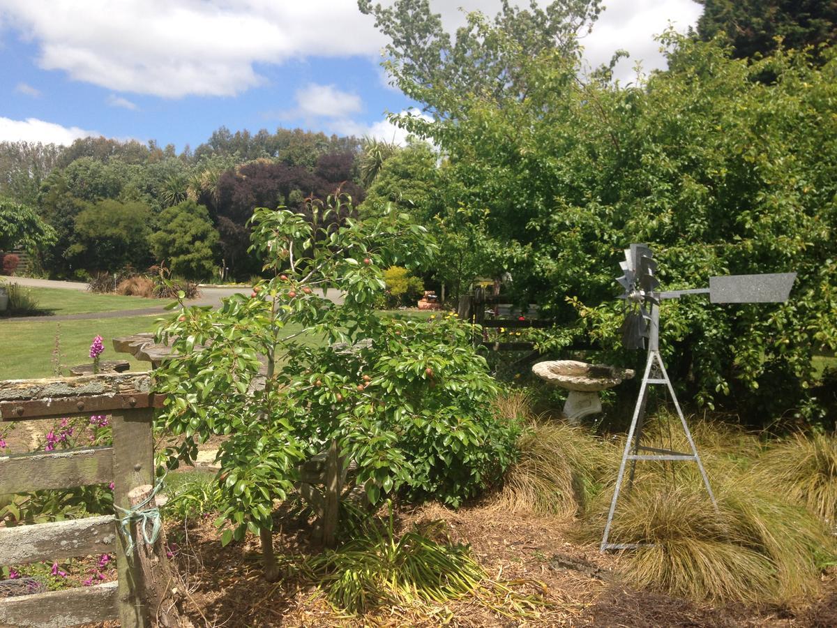 Penhaven Farm Stay Palmerston North Eksteriør bilde