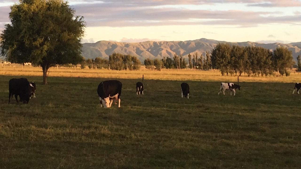 Penhaven Farm Stay Palmerston North Eksteriør bilde